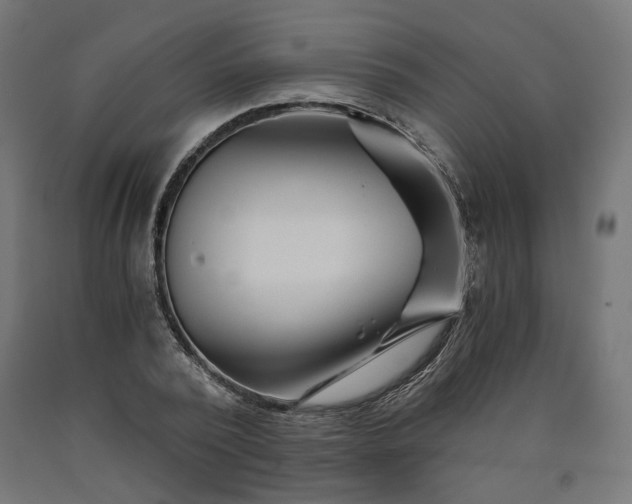 X0000090720784200708031500