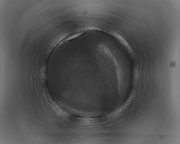 X0000090720785200708031500