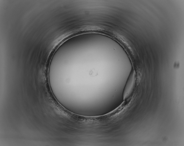 X0000090720786200708031500