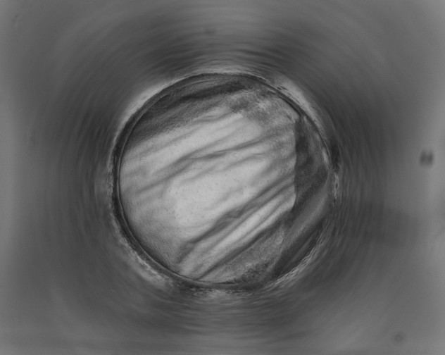 X0000090720787200708031500