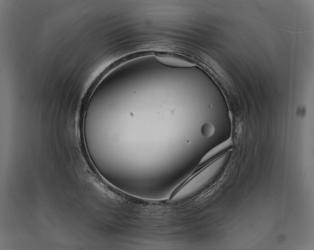 X0000090720788200708031500