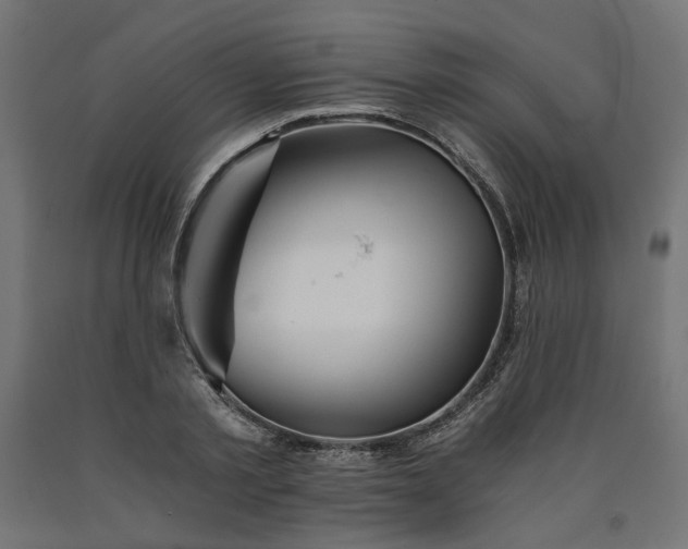 X0000090720789200708031500