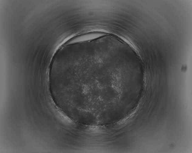 X0000090720790200708031459