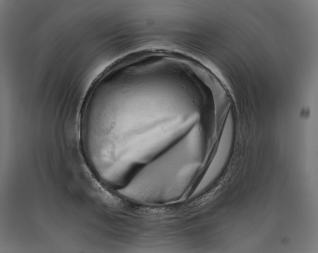 X0000090720791200708031459