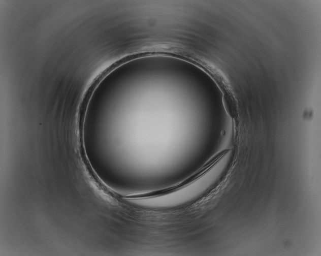 X0000090720792200708031459