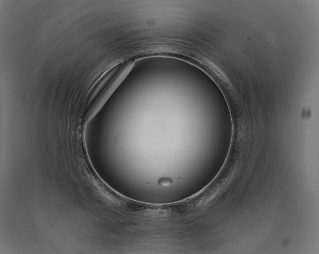 X0000090720793200708031459