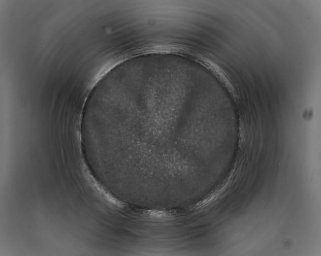 X0000090720794200708031459