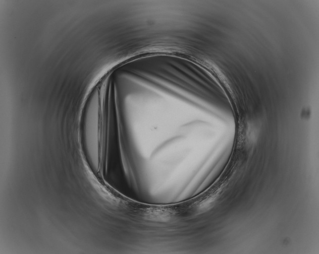 X0000090720795200708031459