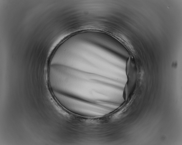 X0000090720796200708031459