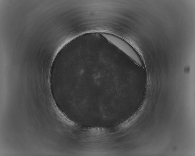 X0000090720797200708031459