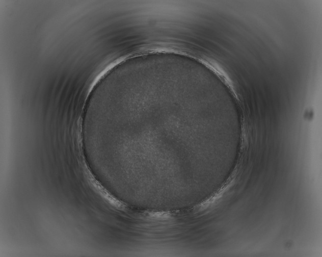 X0000090720798200708031459