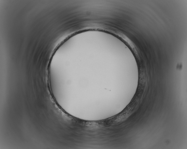 X0000090720807200708031459