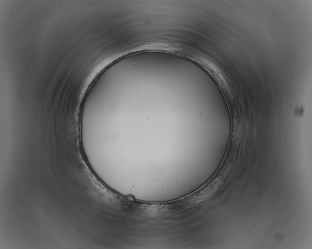 X0000090720808200708031459