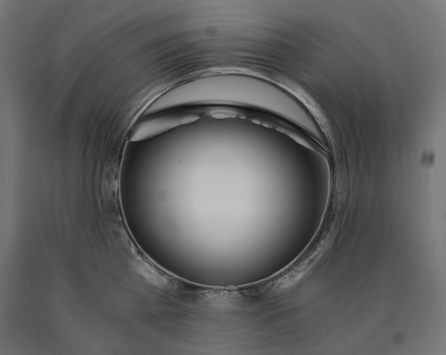X0000090720809200708031459
