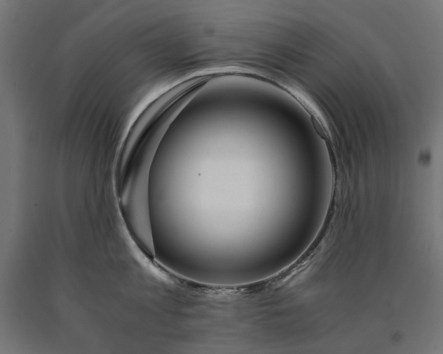 X0000090720813200708031459