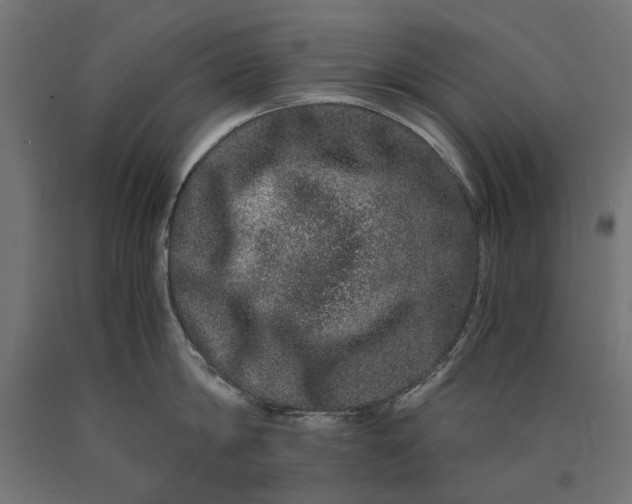 X0000090720814200708031459