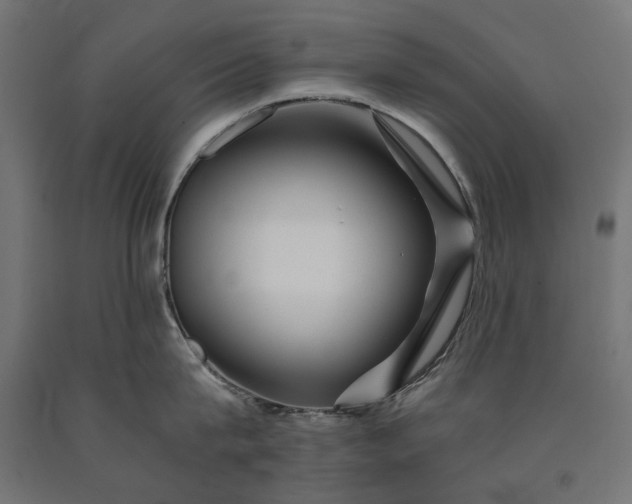 X0000090720815200708031459