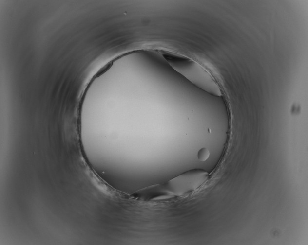 X0000090720816200708031459