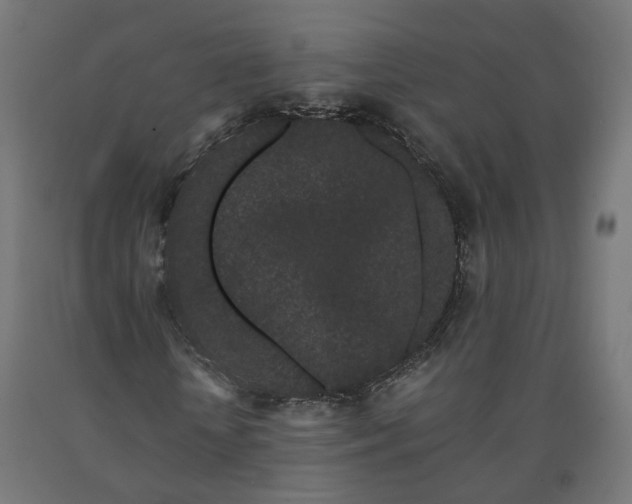 X0000090720818200708031458