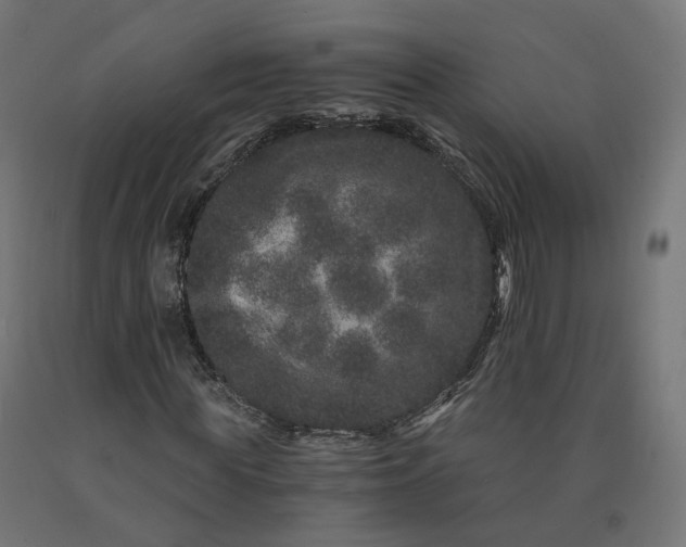 X0000090720819200708031458