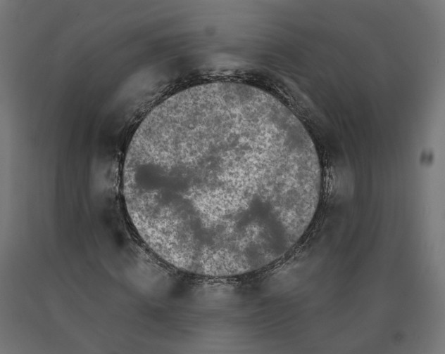 X0000090720820200708031459