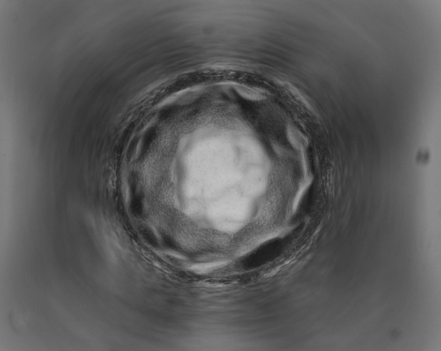 X0000090720821200708031459