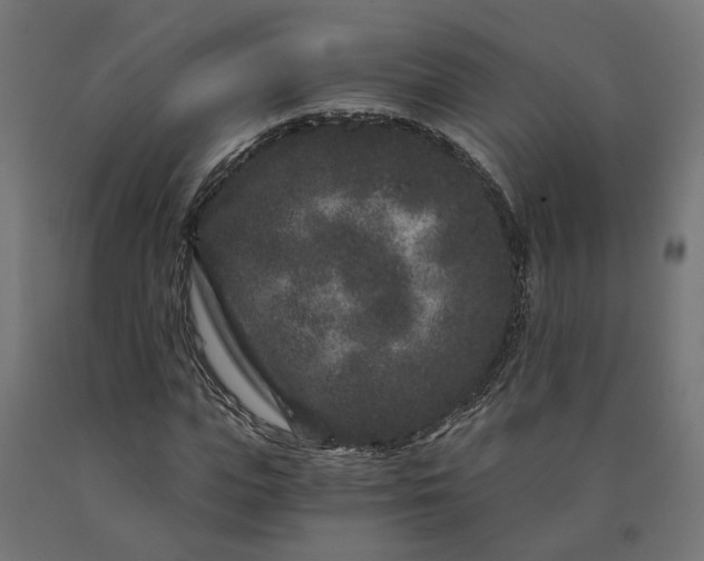 X0000090720823200708031459