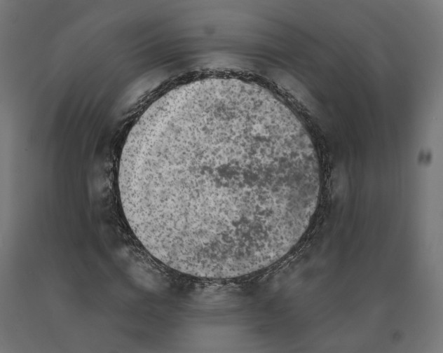 X0000090720824200708031459