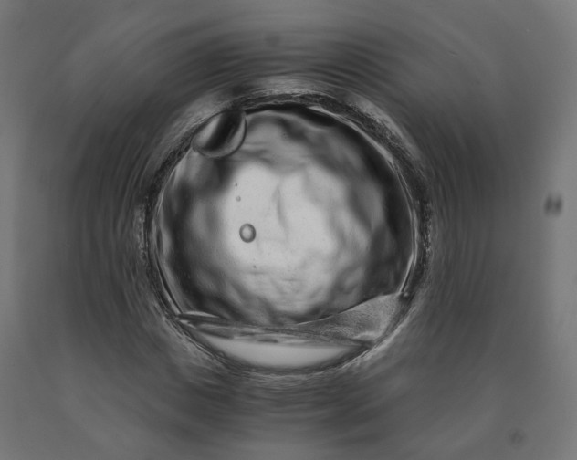 X0000090720825200708031459