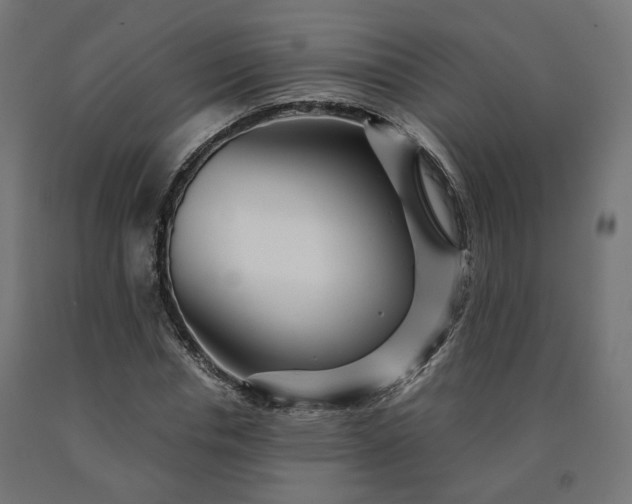 X0000090720826200708031459