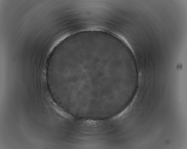 X0000090720827200708031459
