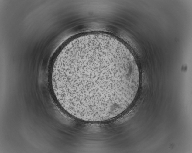 X0000090720828200708031459