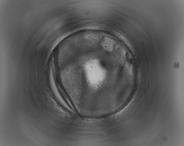 X0000090720829200708031459