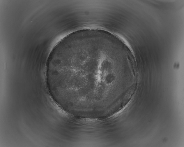 X0000090720831200708031459