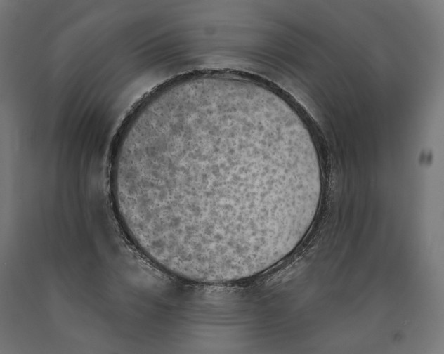 X0000090720832200708031459