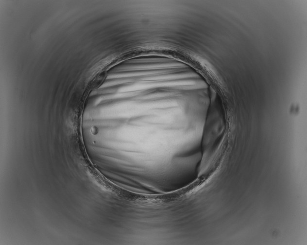 X0000090720833200708031459
