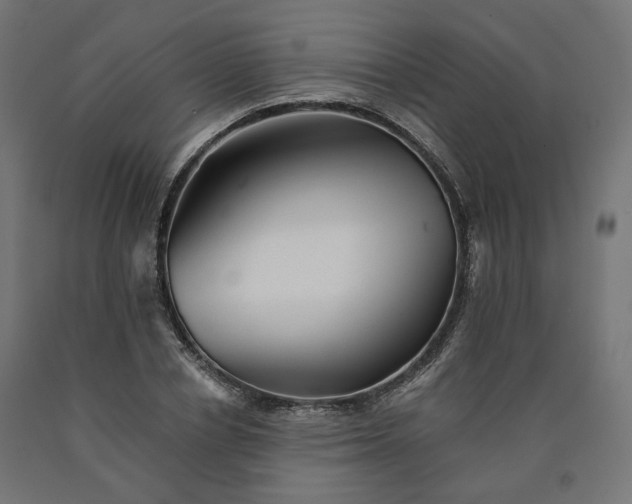 X0000090720834200708031459