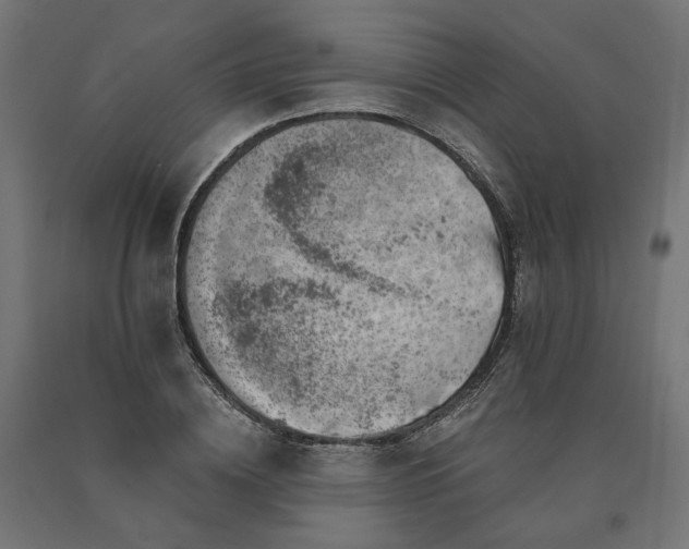 X0000090720836200708031459