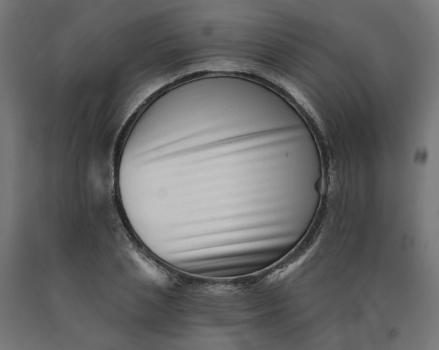 X0000090720837200708031459
