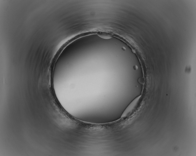 X0000090720838200708031459