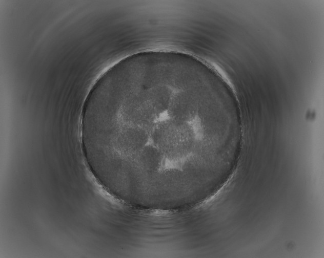 X0000090720839200708031459