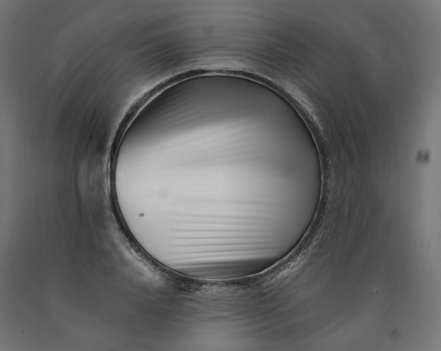 X0000090720840200708031459