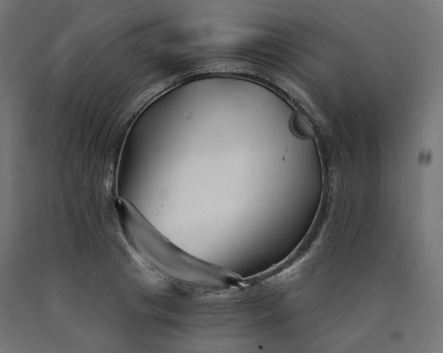 X0000090720841200708031459
