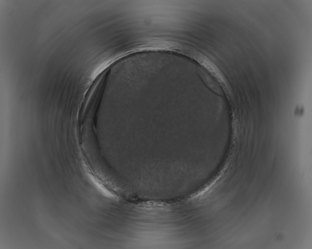 X0000090720842200708031459