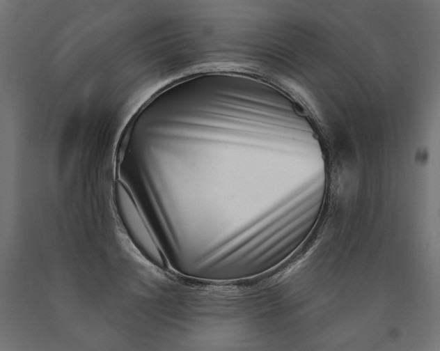 X0000090720844200708031459
