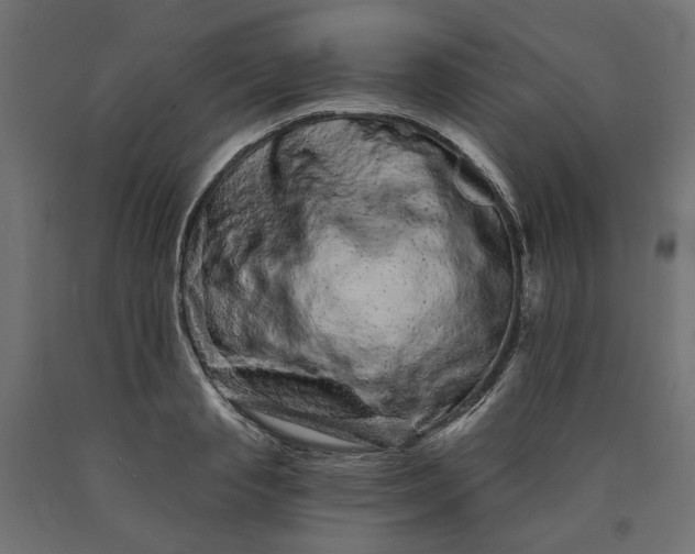 X0000090720845200708031459