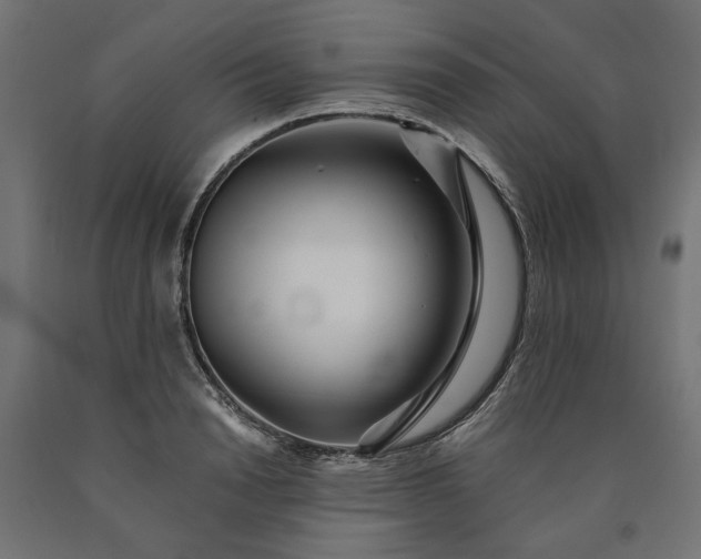 X0000090720846200708031459