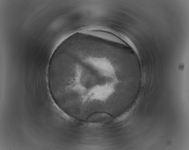 X0000090720847200708031459