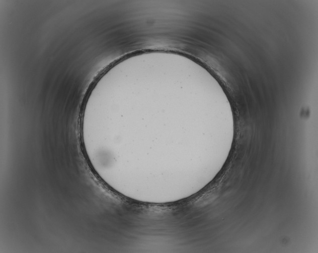 X0000090720848200708031459