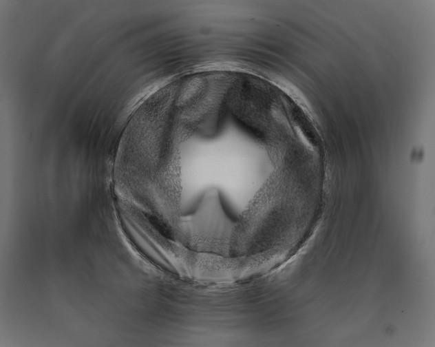 X0000090720849200708031459